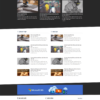 Theme tin tức blog , blog reviews , blog cá nhân