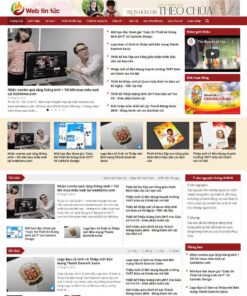 Theme Flatsome WordPress - Theme tin tức 02