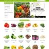 Mẫu web bán trái cây, Theme organic